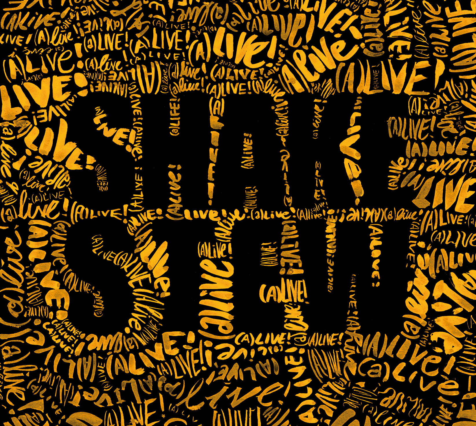1. CD Shake Cover